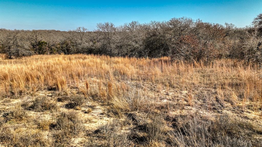 1150 Dps Tower Road, Unit LOT 50 Perrin, TX 76486 - Photo 8 of 17 a view of mountain view