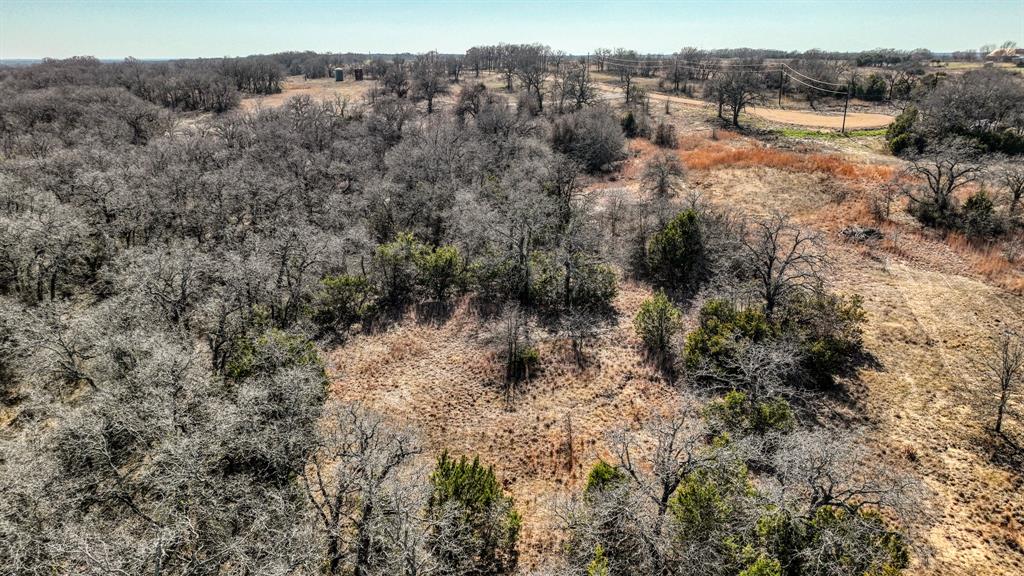 1150 Dps Tower Road, Unit LOT 50 Perrin, TX 76486 - Photo 10 of 17 a view of a forest with a houses