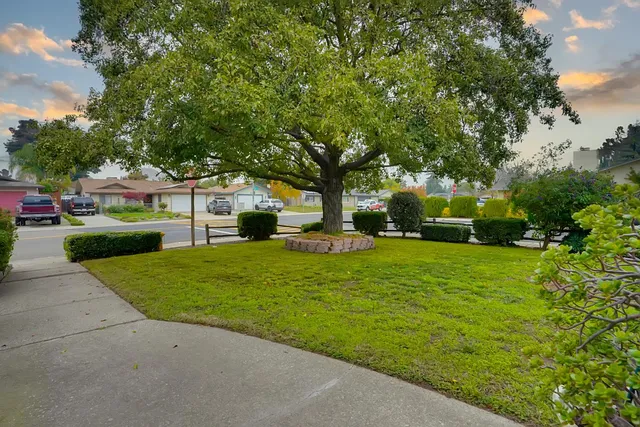 a view of a house with a back yard