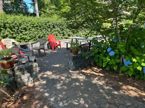 a view of yard