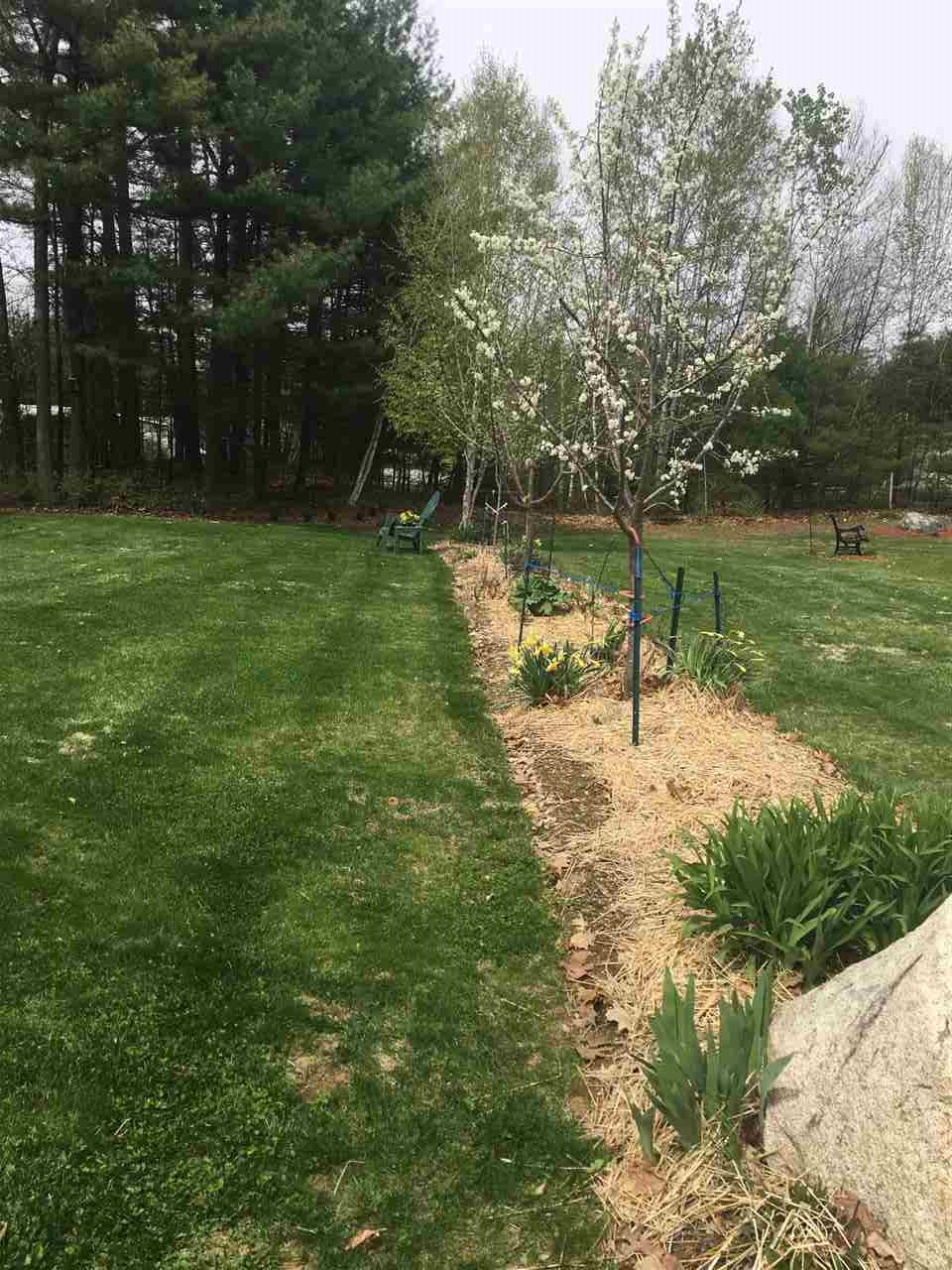 37 Osprey Road Alton, NH 03809 - Photo 17 of 17