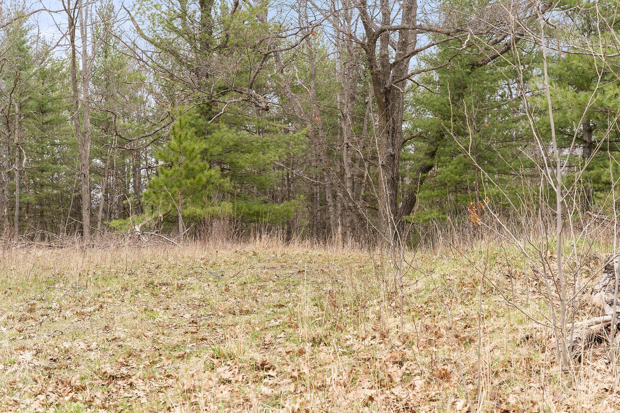 612 East Grayling Mi 49738 Grayling, MI 49738 - Photo 13 of 14 13-web-or-mls-DSC06281