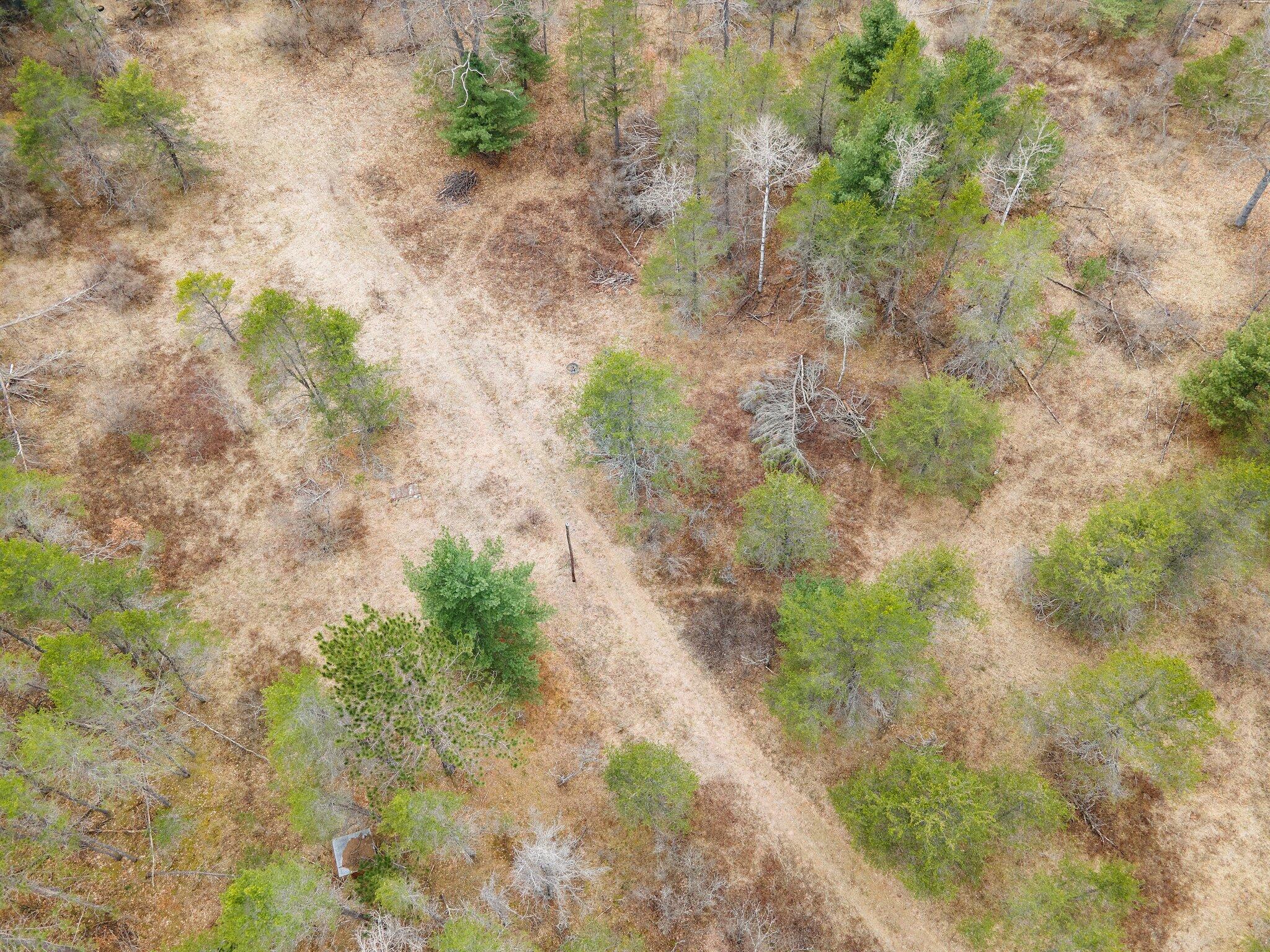 612 East Grayling Mi 49738 Grayling, MI 49738 - Photo 3 of 14 3-web-or-mls-DJI_0010
