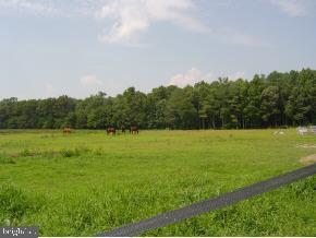 18091 Deer Forest Road Georgetown, DE 19947 - Photo 1 of 1 Gallery Image 1