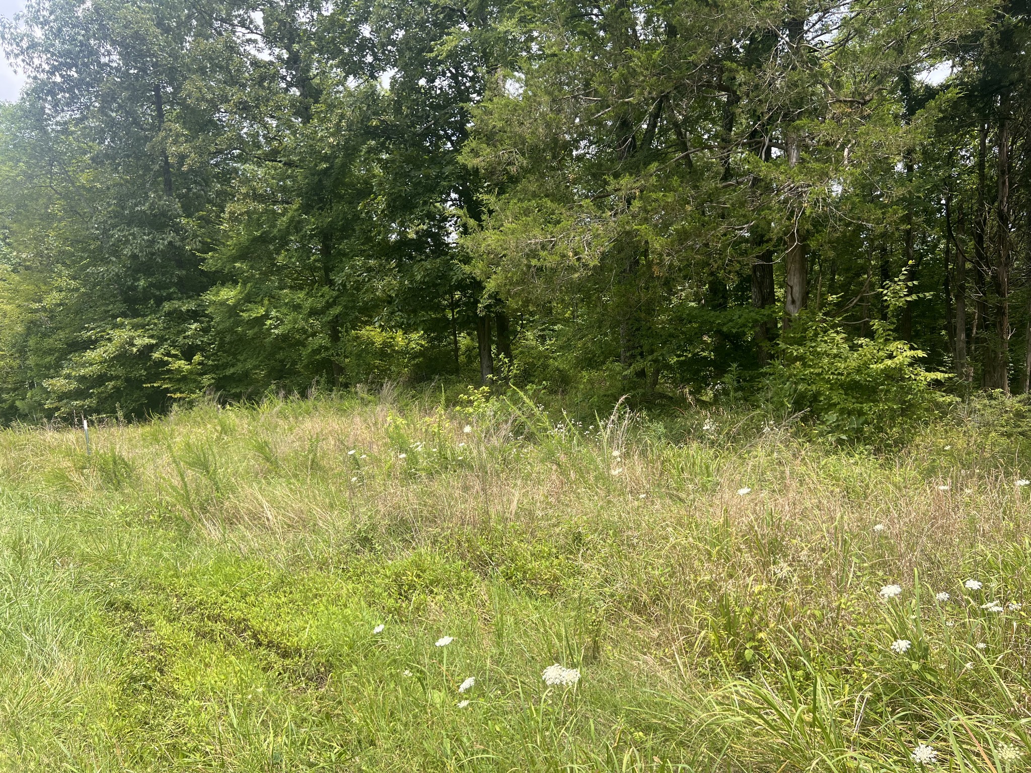 2 Toms Creek Lake Road Linden, TN 37096 - Photo 8 of 11