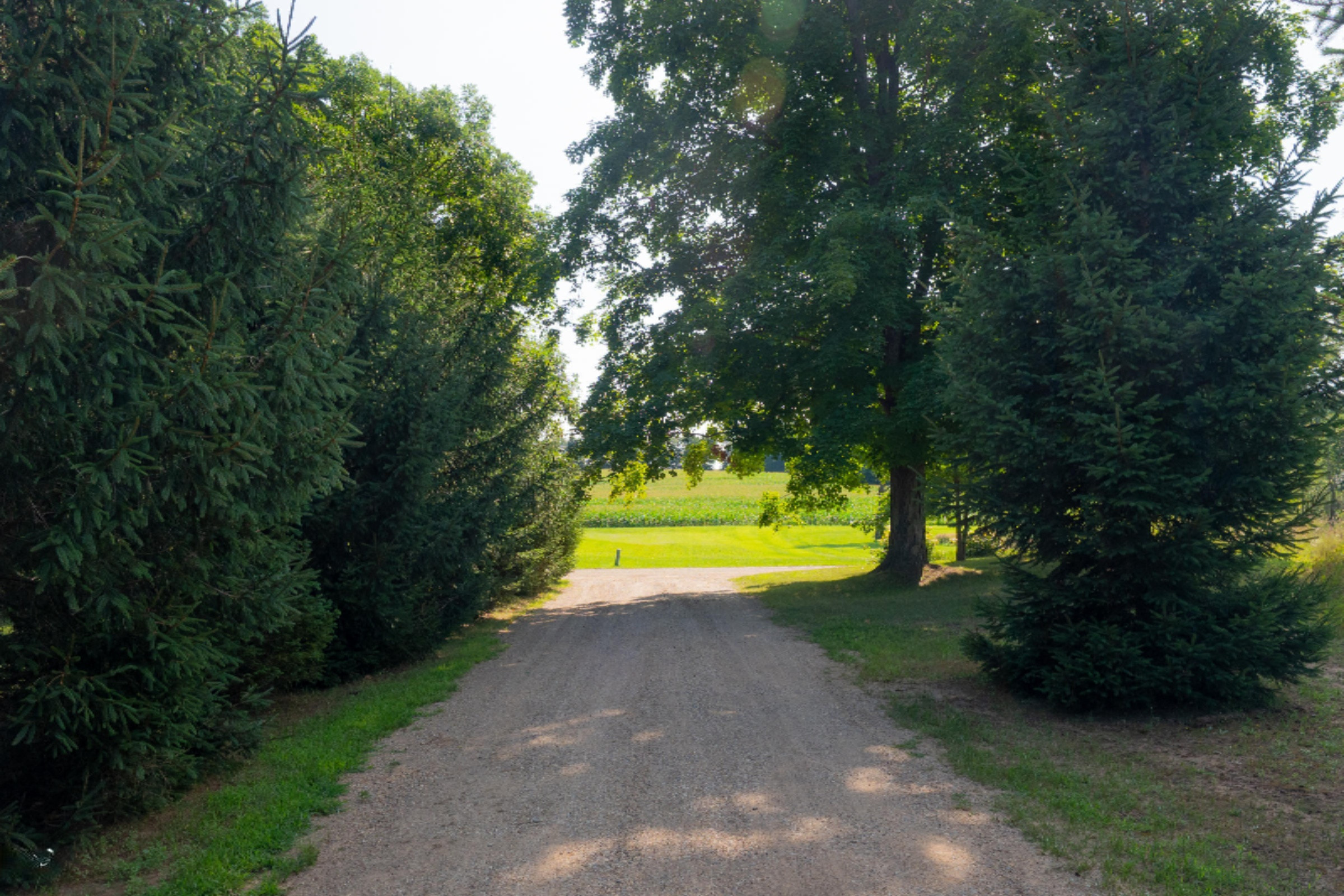 13684 Stuck Road Delton, MI 49046 - Photo 47 of 47 13684 Stuck Rd-147