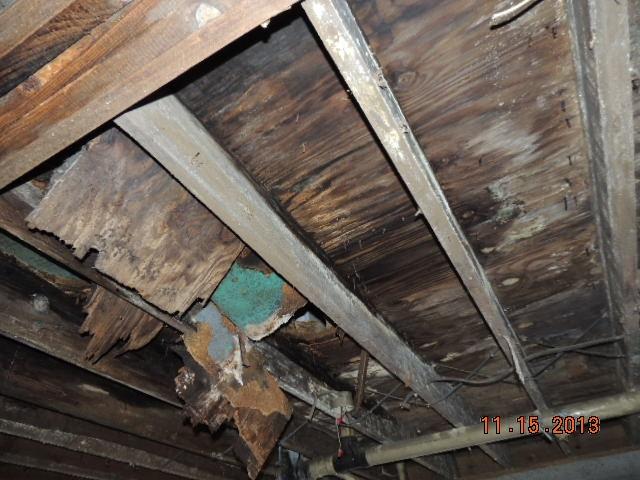 135 Coon Hunters Road Wartburg, TN 37887 - Photo 11 of 39 DSCN9867