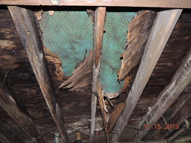 135 Coon Hunters Road Wartburg, TN 37887 - Photo 12 of 39 DSCN9868