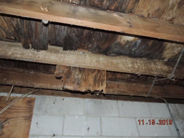 135 Coon Hunters Road Wartburg, TN 37887 - Photo 16 of 39 DSCN9872