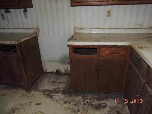 135 Coon Hunters Road Wartburg, TN 37887 - Photo 24 of 39 DSCN9880