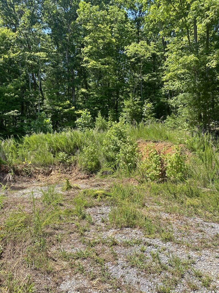 0 Randall Fugate Road, Unit 144 145 Spring City, TN 37381 - Photo 1 of 7 IMG_3040