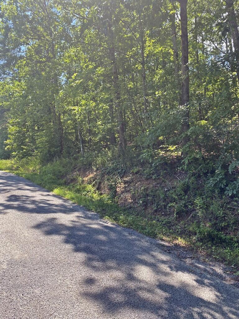 0 Randall Fugate Road, Unit 144 145 Spring City, TN 37381 - Photo 3 of 7 IMG_3035
