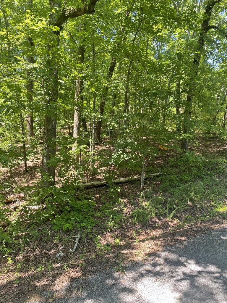 0 Randall Fugate Road, Unit 144 145 Spring City, TN 37381 - Photo 4 of 7 IMG_3036