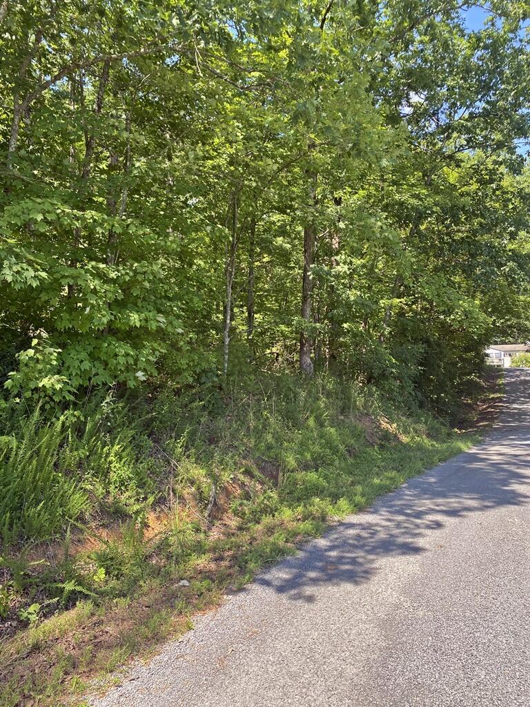 0 Randall Fugate Road, Unit 144 145 Spring City, TN 37381 - Photo 7 of 7 IMG_3039