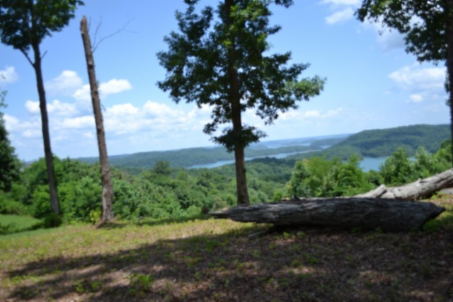 0 Rock Fish Road East Celina, TN 38551 - Photo 25 of 27