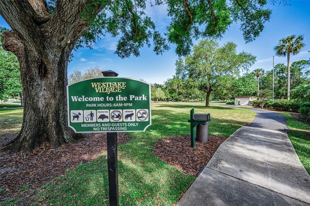520 Sandy Hook Road Palm Harbor, FL 34683 - Photo 76 of 76
