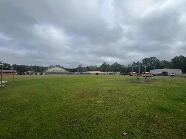 a view of green field with house in background