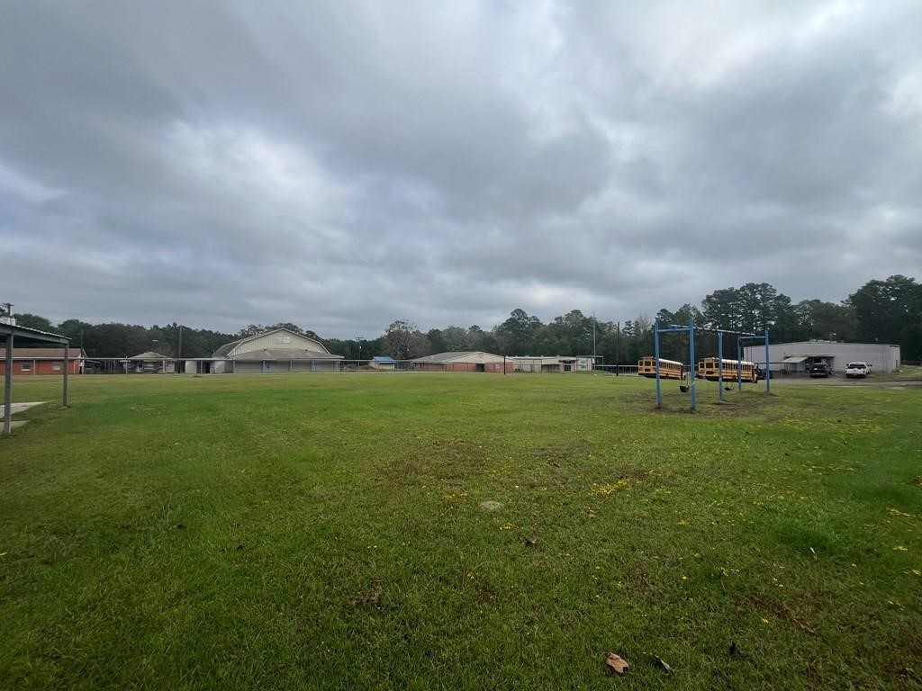 215 Buchanan Street Broaddus, TX 75929 - Photo 2 of 30 a view of green field with house in background
