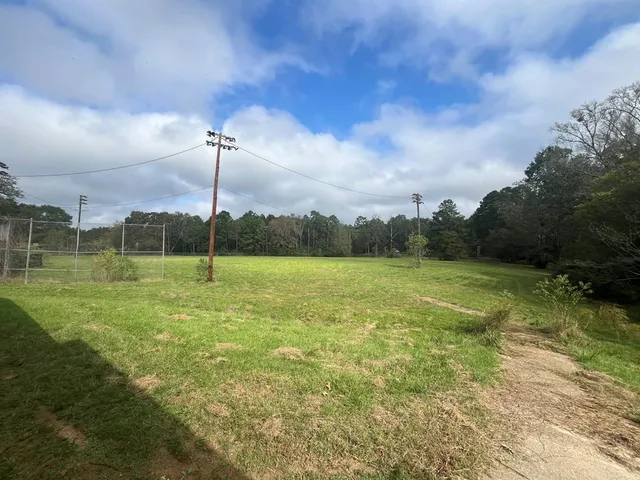 a view of a garden with a large tree in the background