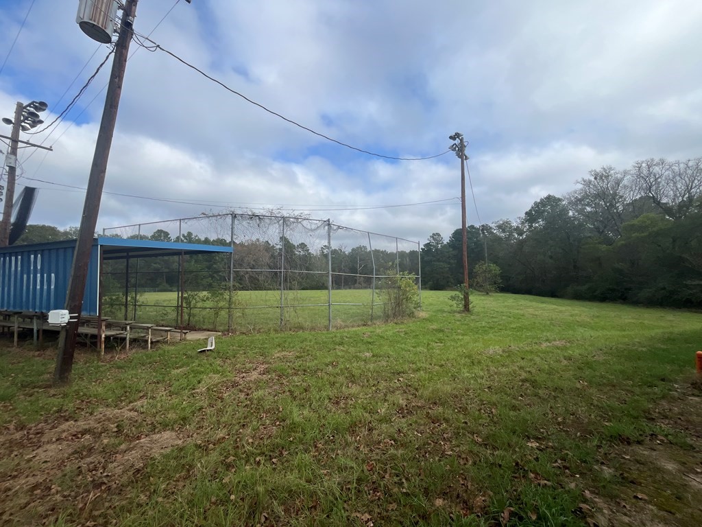 215 Buchanan Street Broaddus, TX 75929 - Photo 5 of 30 a view of a garden with a slide