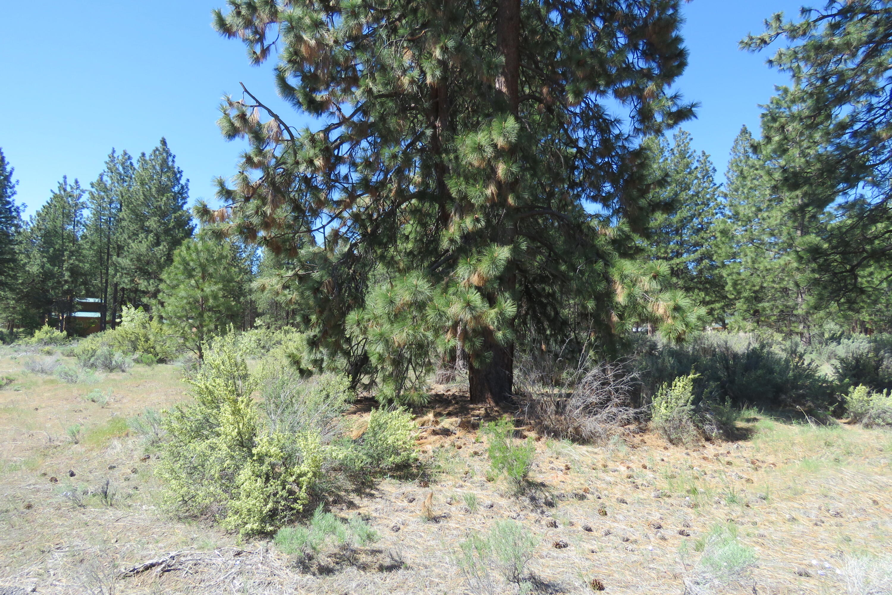 Castle Drive Chiloquin, OR 97624 - Photo 10 of 12 IMG_4569