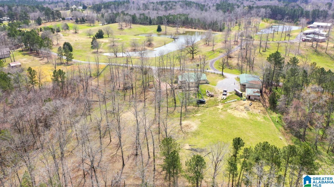615 Hilton Drive Cleveland, AL 35049 - Photo 7 of 50