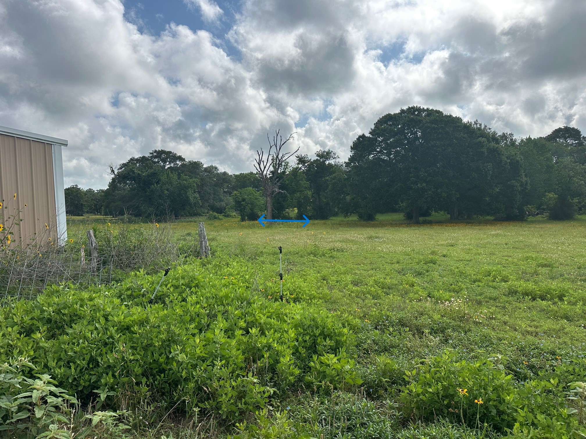 6220 Mill Creek Road Sealy, TX 77474 - Photo 8 of 27 Property line is blue