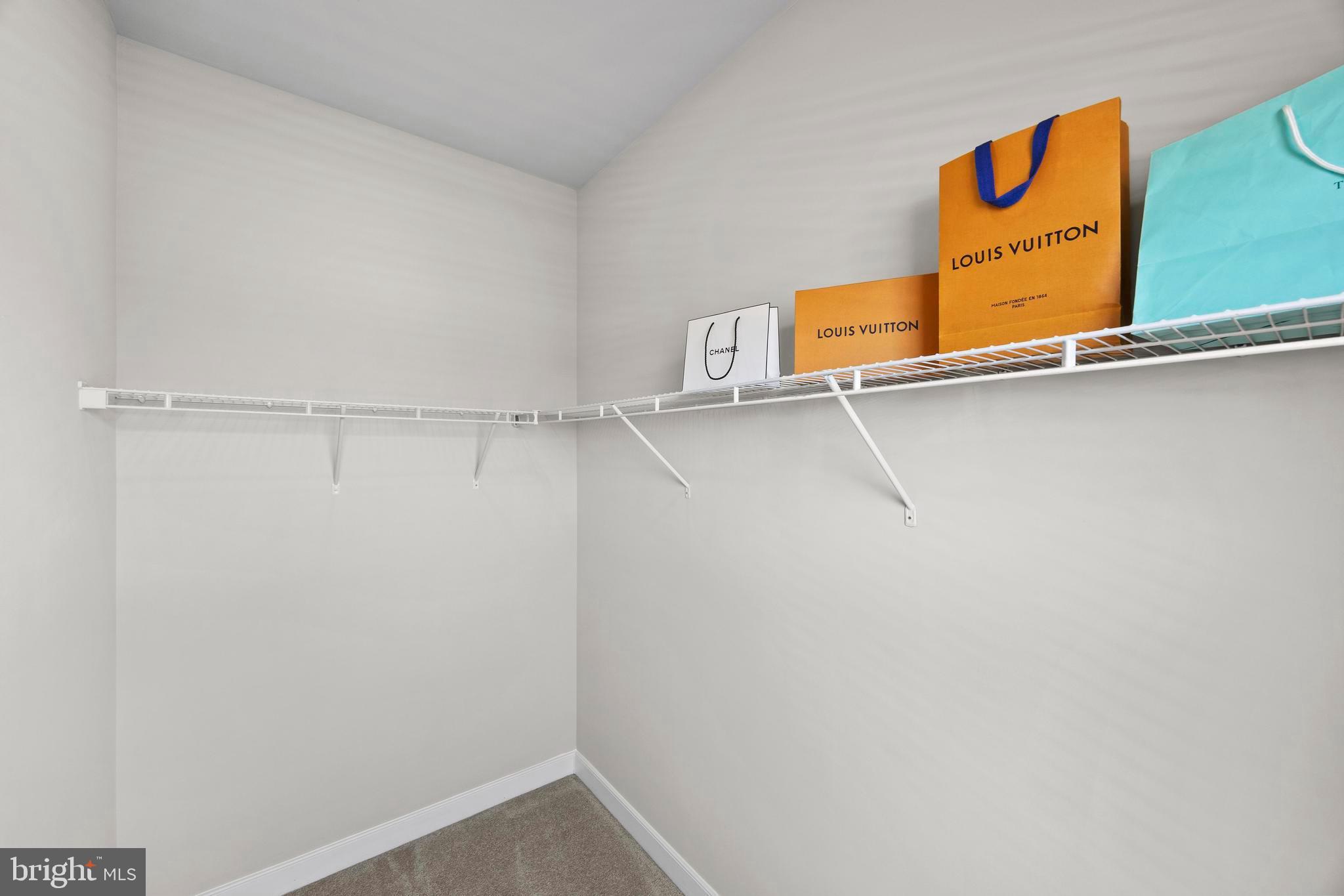 14247 Travilah Road Rockville, MD 20850 - Photo 42 of 100 Walk-in Closet