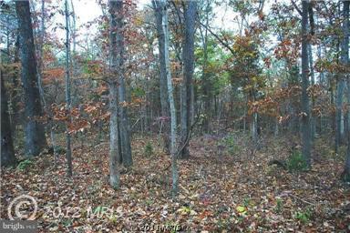 Sage Off Road Delaplane, VA 20144 - Photo 1 of 1 Exterior (General)