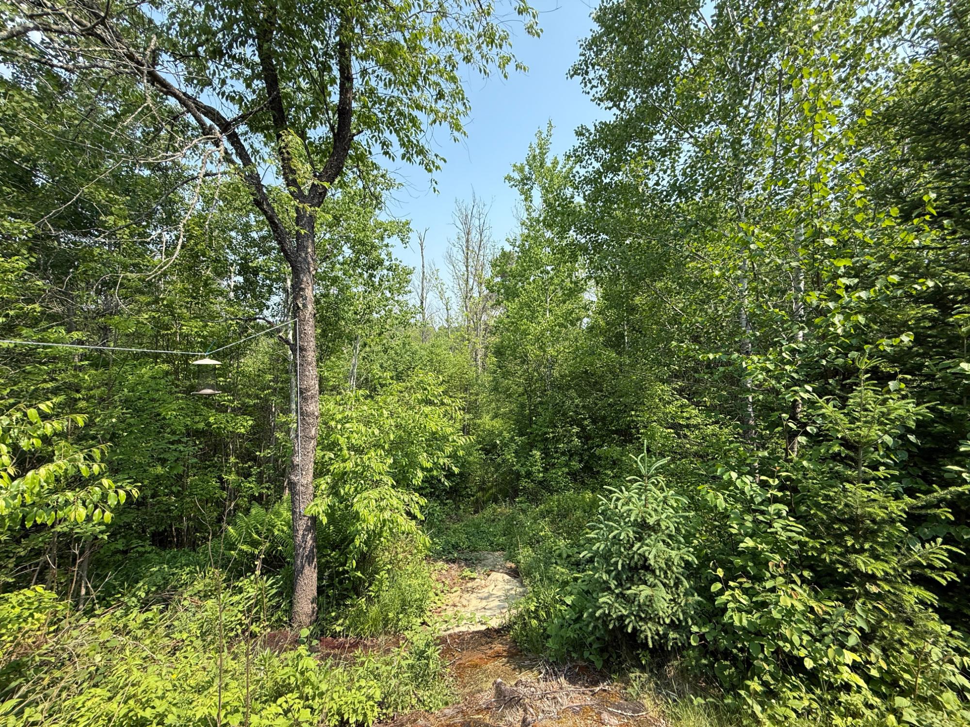 W3260 Sheep Ranch Road Phillips, WI 54555 - Photo 15 of 19 Gallery Image 15