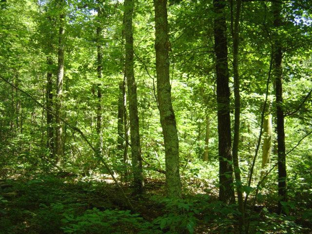 9999 Patton Road London, KY 40744 - Photo 21 of 28 Photo 21