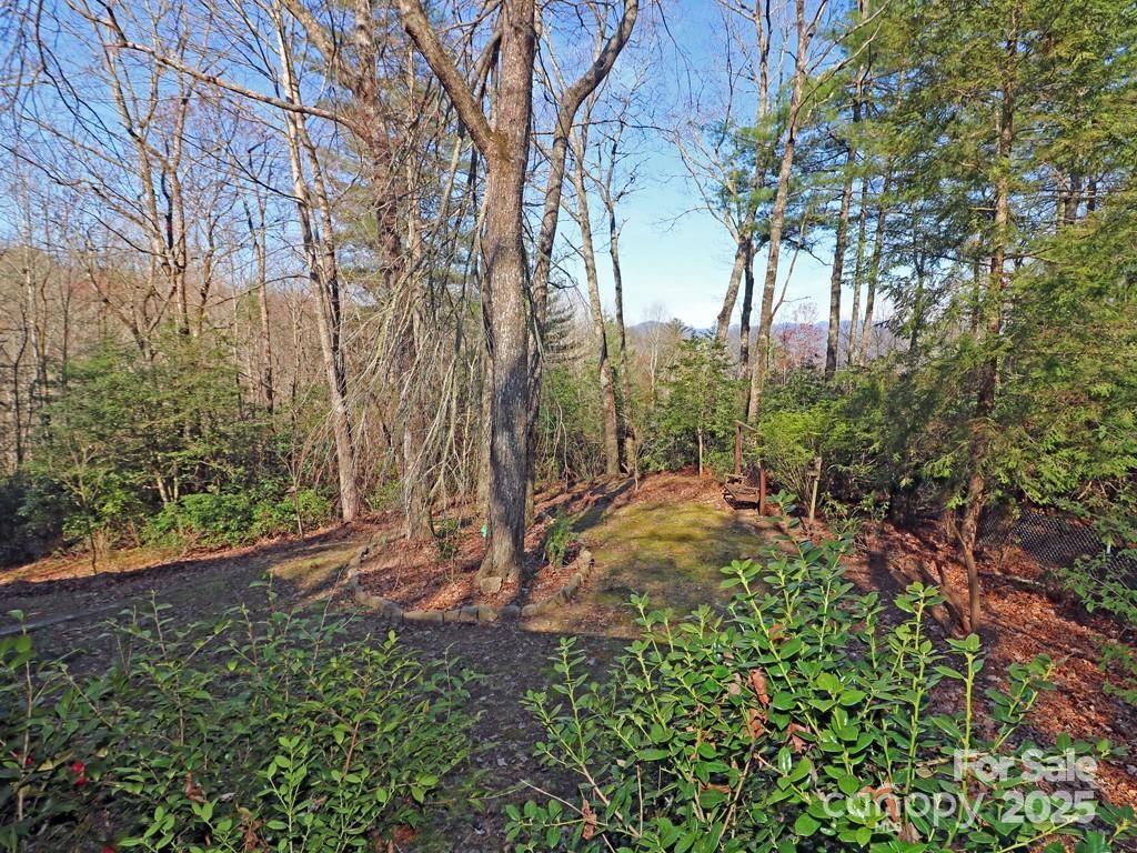 164 Rocky Ridge Road Pisgah Forest, NC 28768 - Photo 43 of 47 Gallery Image 43