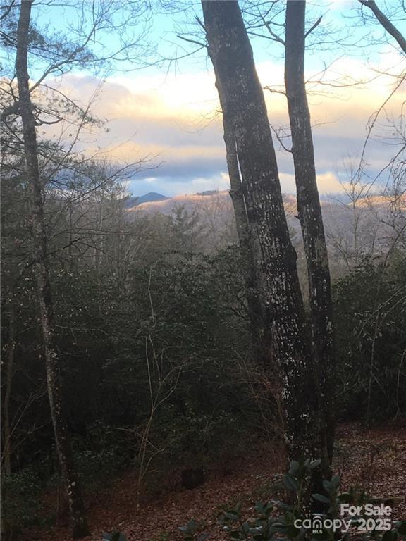 164 Rocky Ridge Road Pisgah Forest, NC 28768 - Photo 47 of 47 Gallery Image 47