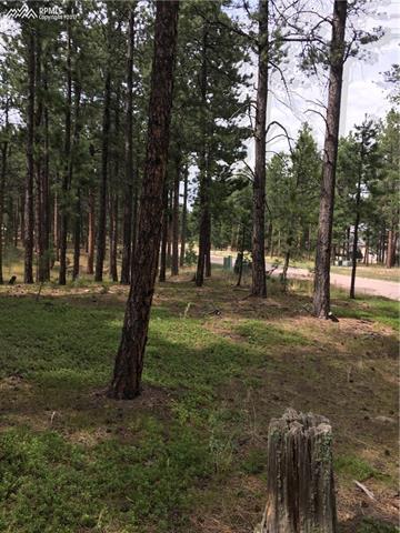 19964 Wissler Ranch Road Colorado Springs, CO 80908 - Photo 4 of 5