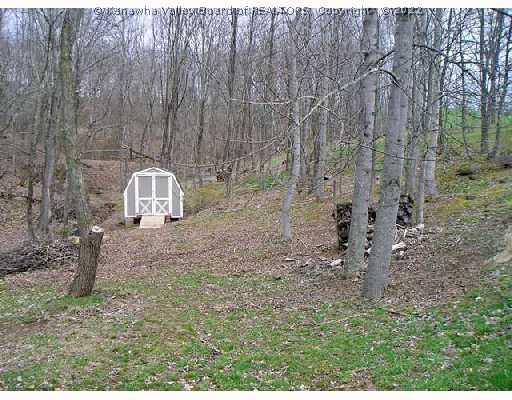 3 Clear Point Lane Ripley, WV 25271 - Photo 8 of 8 Yard/Garden.