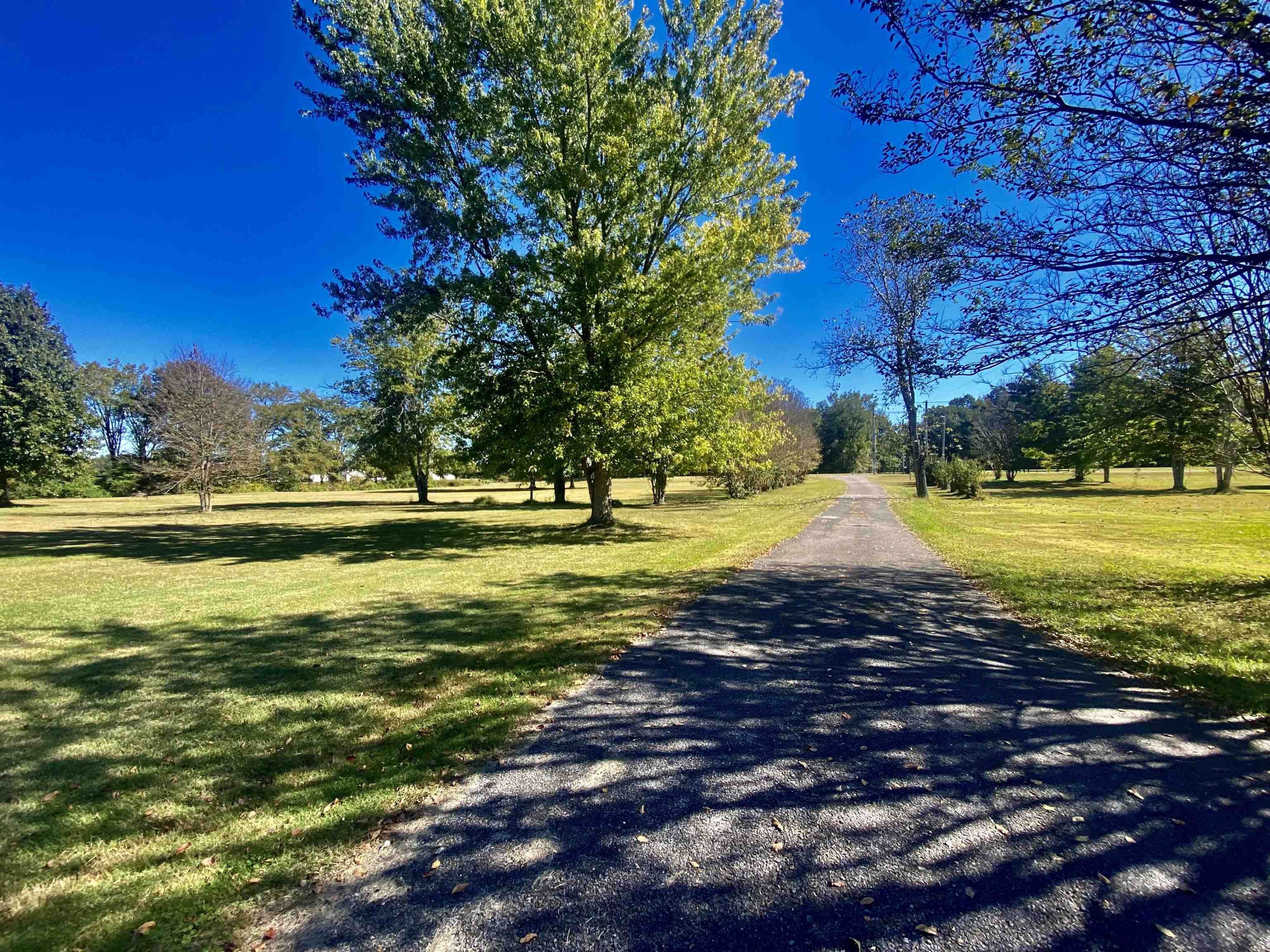 1810 Teague Store Road Somerville, TN 38068 - Photo 24 of 32 Gallery Image 24