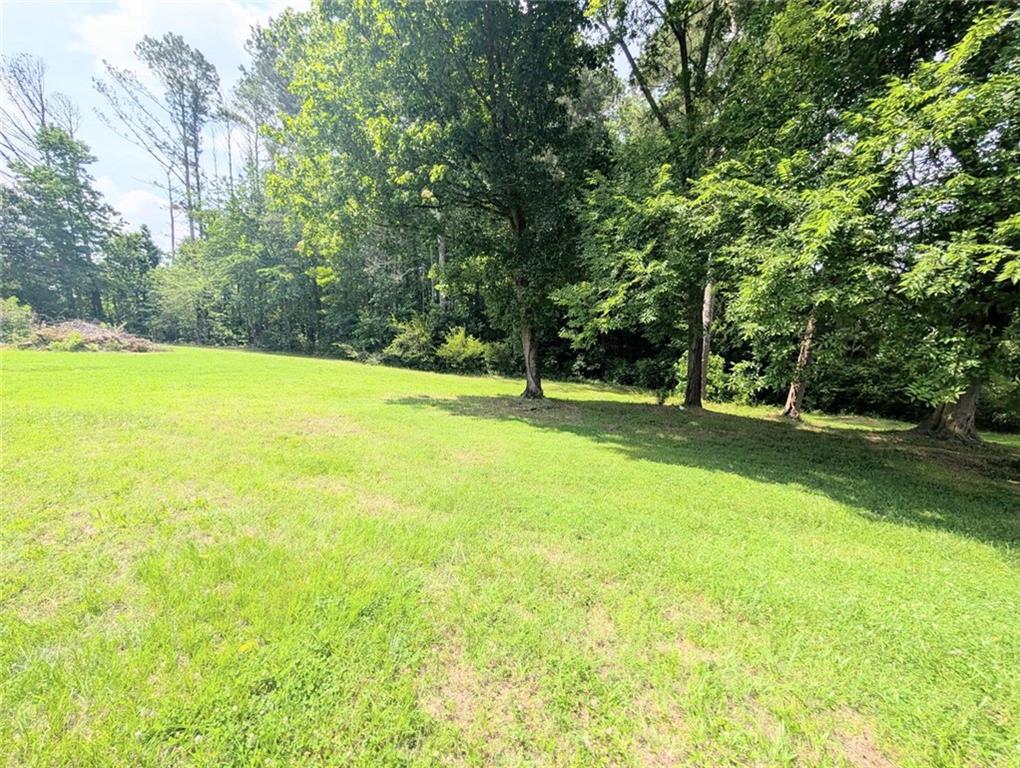 201 Club Road Buchanan, GA 30113 - Photo 18 of 18