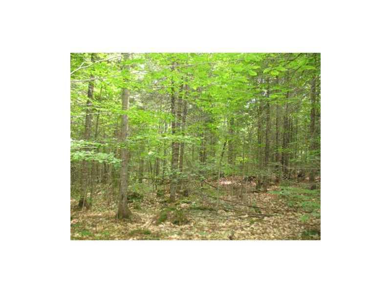 154 Salmon Stream Road Guilford, ME 04443 - Photo 4 of 5 Land/Lot.