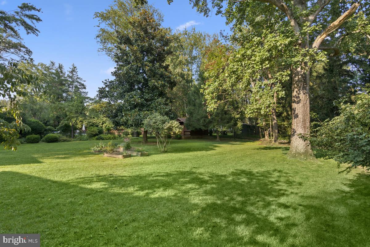 9205 Seven Locks Road Bethesda, MD 20817 - Photo 6 of 33
