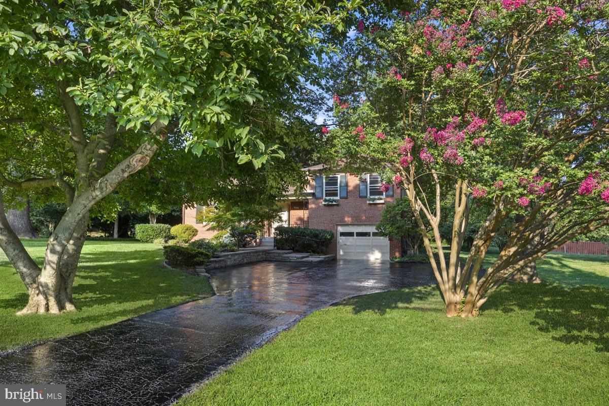 9205 Seven Locks Road Bethesda, MD 20817 - Photo 9 of 33