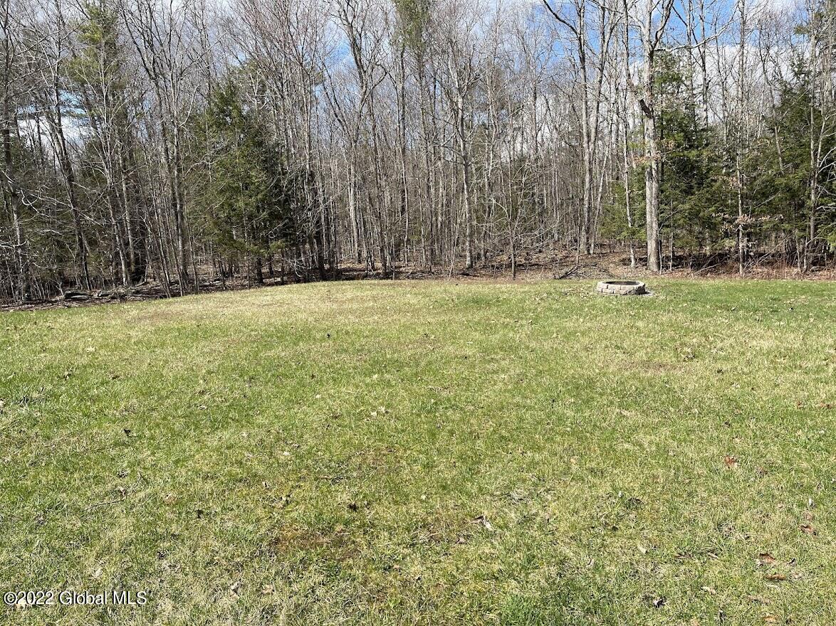 274 Vernal Butler Road Cairo, NY 12413 - Photo 15 of 15 BKYD1