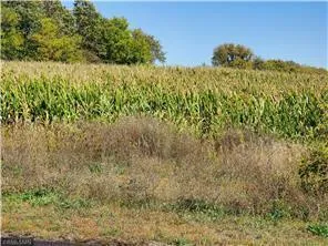 $98,000 | 1137 178th Street, Hammond, WI 54015