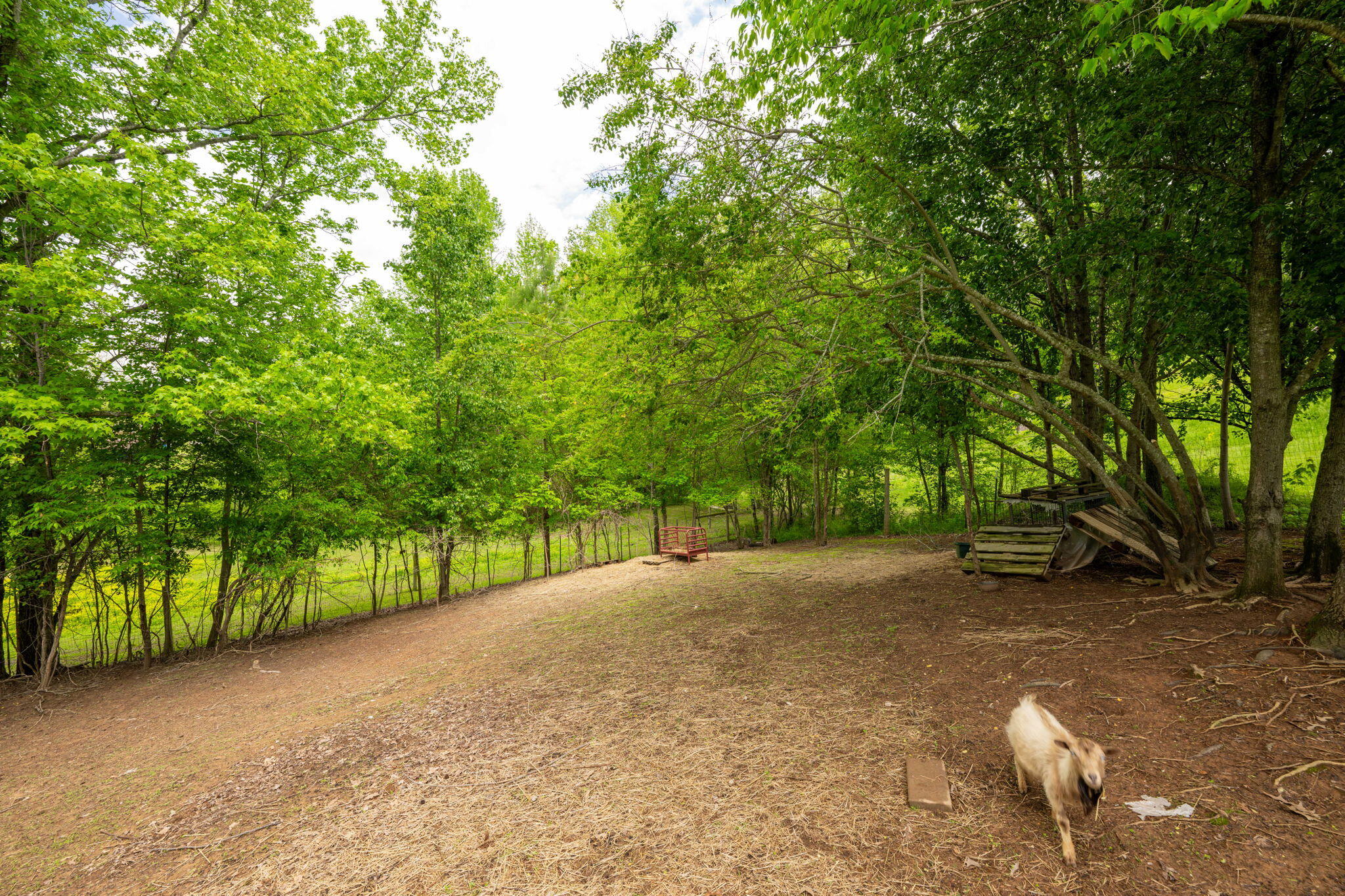 1628 Ketner Cove Road Whitwell, TN 37397 - Photo 38 of 69 56-web-or-mls-DSC_3950-98