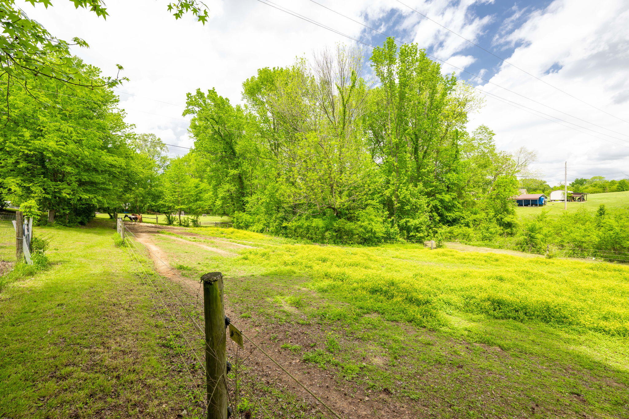 1628 Ketner Cove Road Whitwell, TN 37397 - Photo 39 of 69 57-web-or-mls-DSC_3951-99