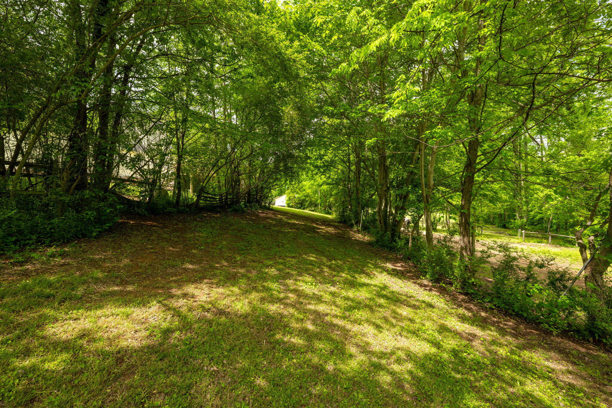 1628 Ketner Cove Road Whitwell, TN 37397 - Photo 40 of 69 58-web-or-mls-DSC_3952-100