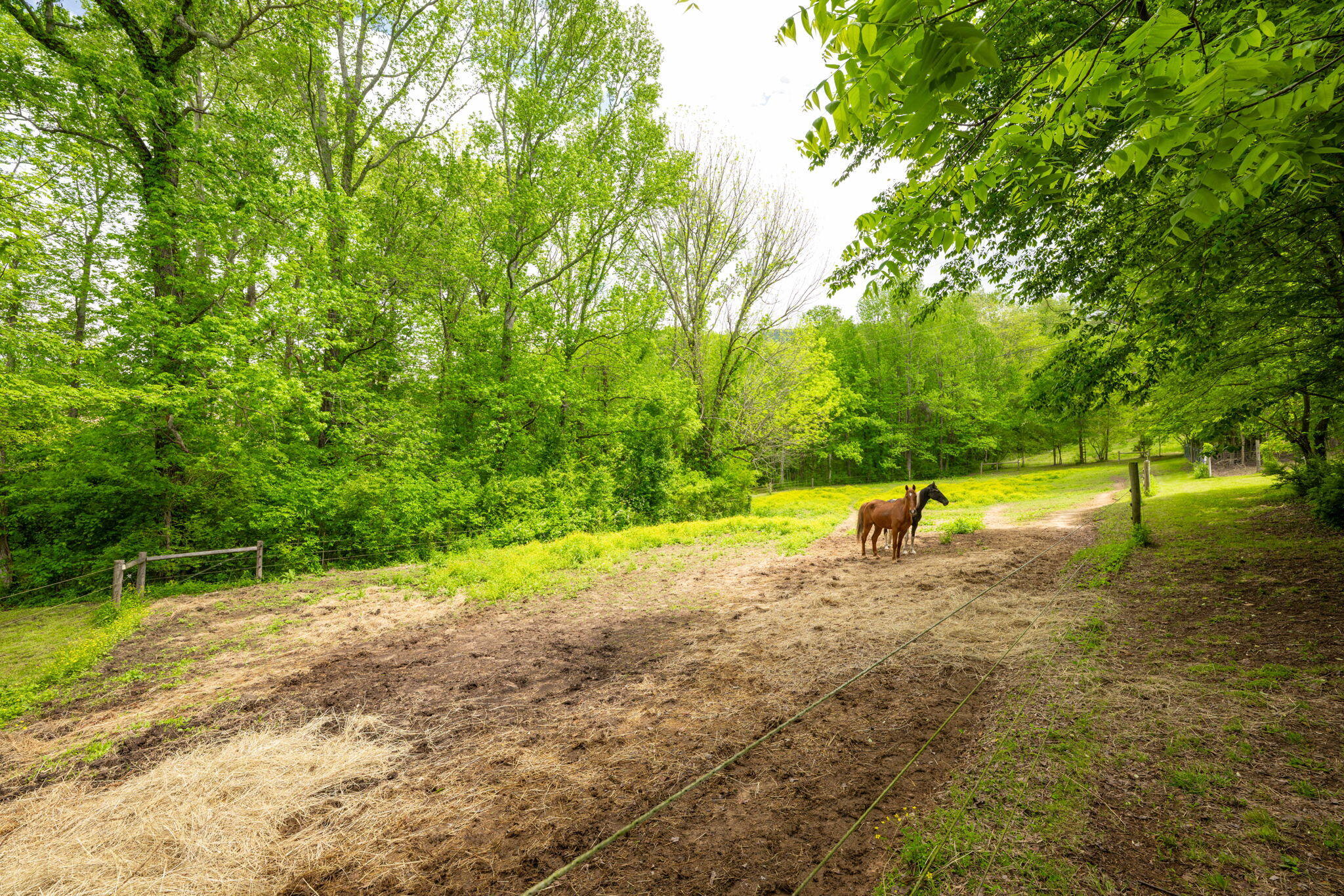 1628 Ketner Cove Road Whitwell, TN 37397 - Photo 41 of 69 59-web-or-mls-DSC_3953-101