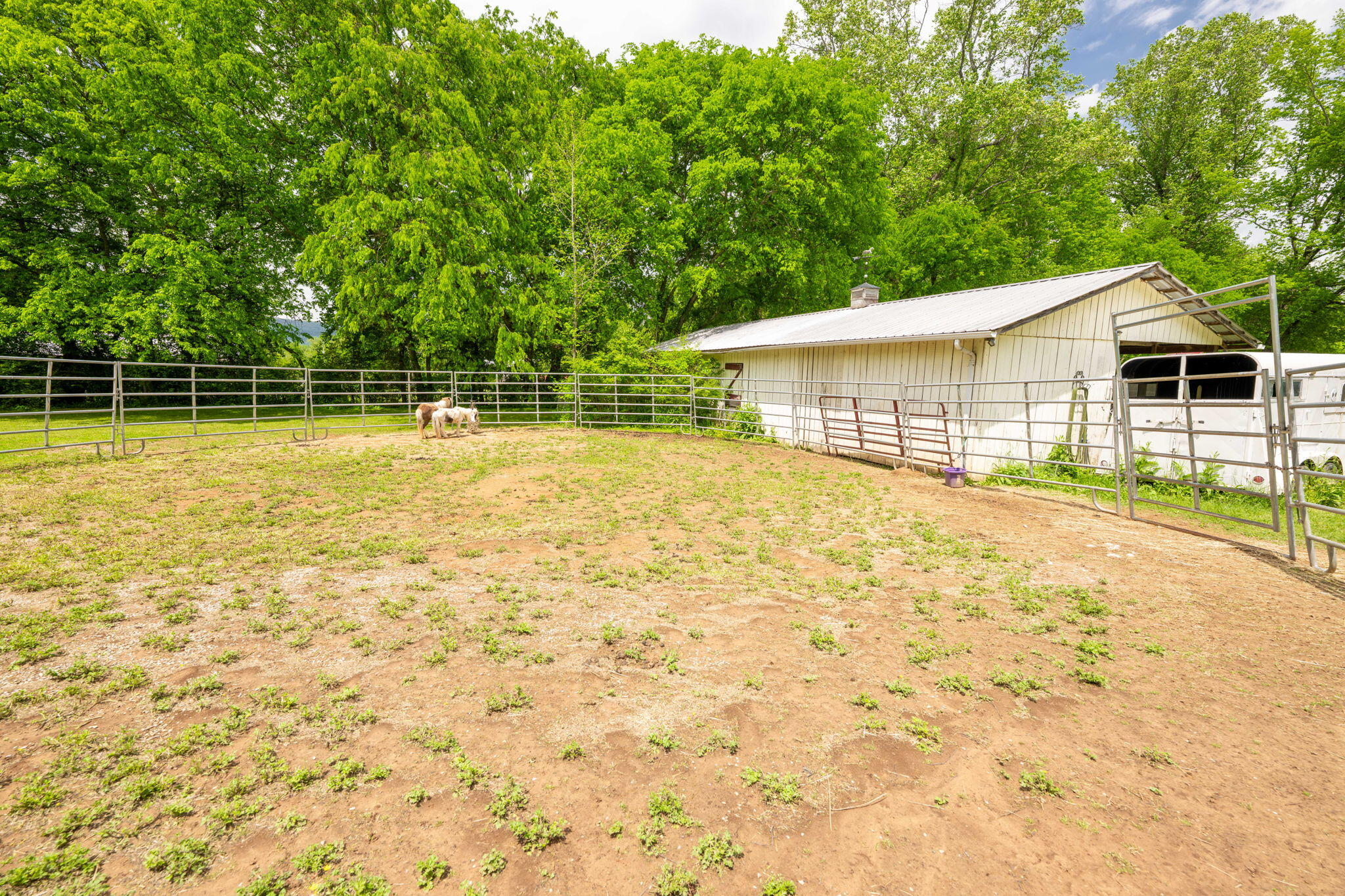 1628 Ketner Cove Road Whitwell, TN 37397 - Photo 47 of 69 71-web-or-mls-DSC_3967-113
