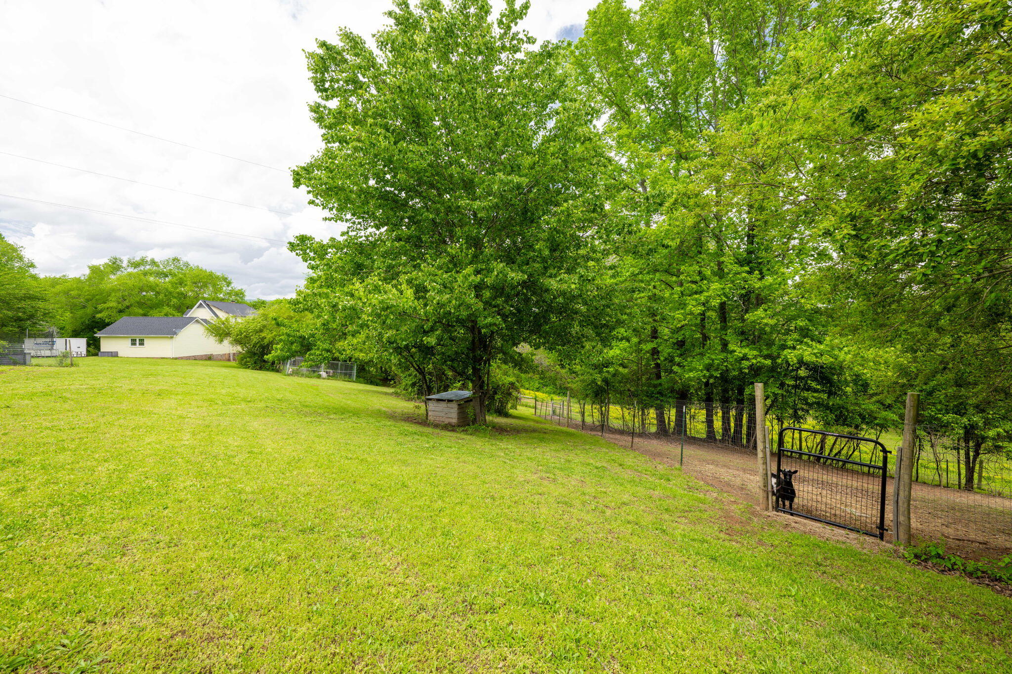 1628 Ketner Cove Road Whitwell, TN 37397 - Photo 52 of 69 55-web-or-mls-DSC_3949-97