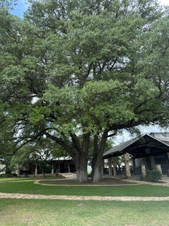 108 Cross Trail Spicewood, TX 78669 - Photo 30 of 33 A quick 10 minute drive to Spicewood Vineyards-Award-winning wines, live music, and tastings under giant oaks.
