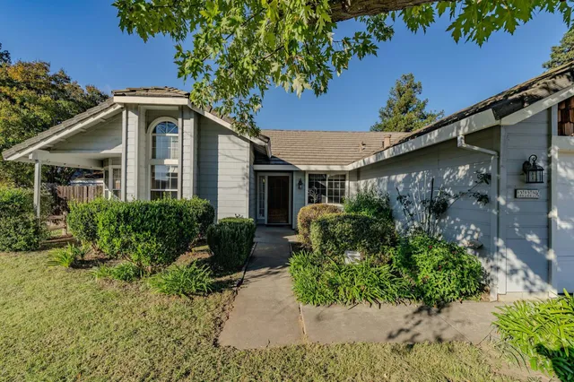 a view of a backyard with plants